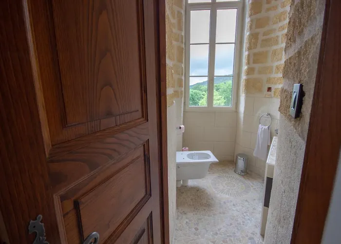 Chateau De Druon Bed & Breakfast 4*